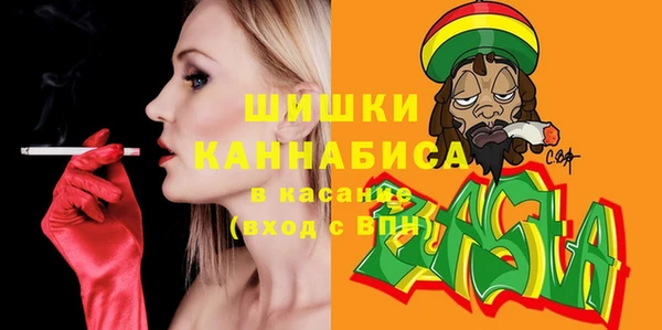 твердый Абаза