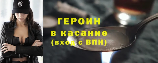 индика Сатка