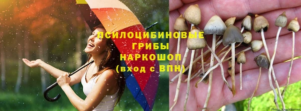 круглые Алексеевка
