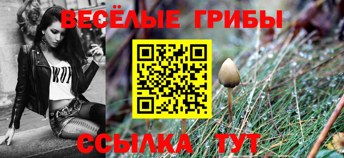 Галлюциногенные грибы MAGIC MUSHROOMS Грязи